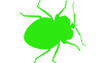 green bedbug icon